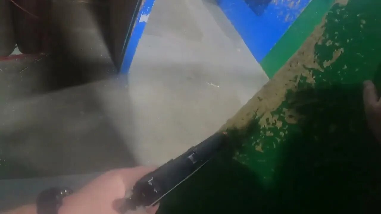 vip airsoft adult session tdm 12-8-2023 im back baby