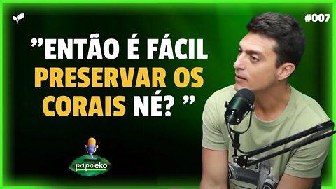 COMO PRESERVAR OS CORAIS? | CORTES PAPO EKO | #007 #cortes