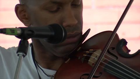 Elmwood Avenue Festival of the Arts Digital
