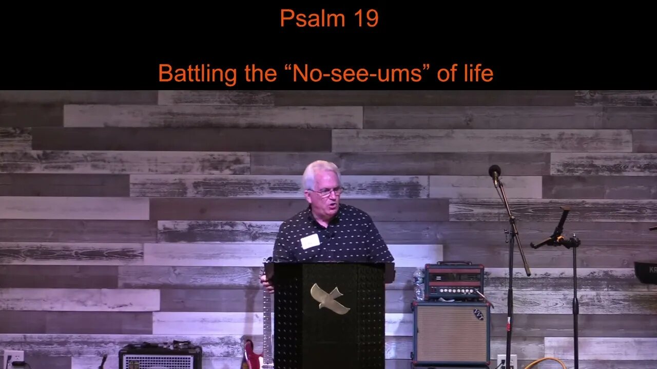 Battling the “No-see-ums” of life — Psalm 19