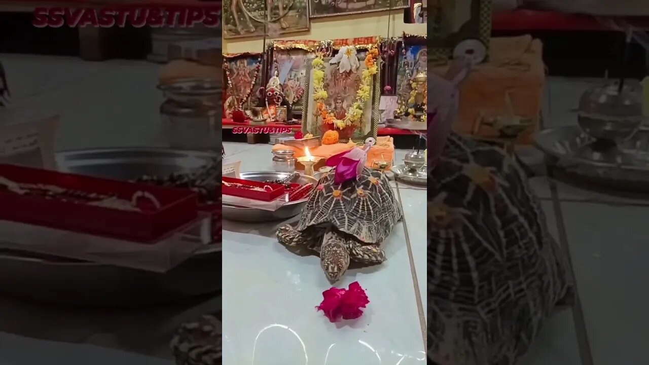 जय लक्ष्मी मैया 🙏🙏#maa #status #trending #trendingshorts #like #cute #viral #reels #creator #god