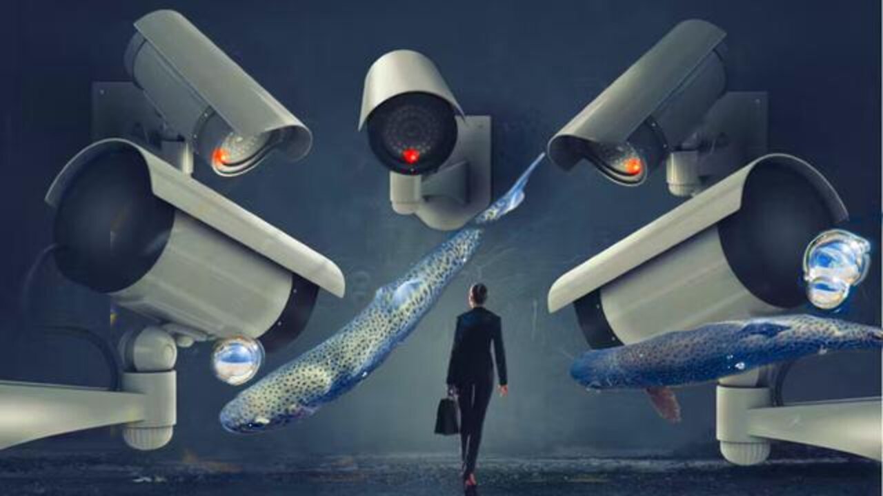 SMART SURVEILLANCE AND PLASTIC FISH - MAX IGAN