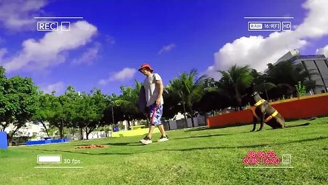 TREINO NA PRACINHA: SAQUE DE ARMA E 'AUZZ" ( SOLTAR ) !