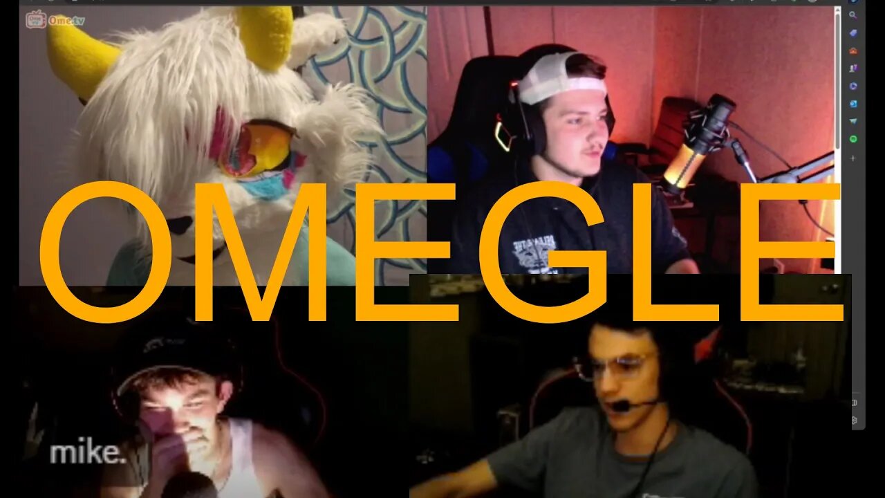 WE MET A FURRY//HILARIOUS MOMENTS on OMEGLE(w/Chris and Ricky)