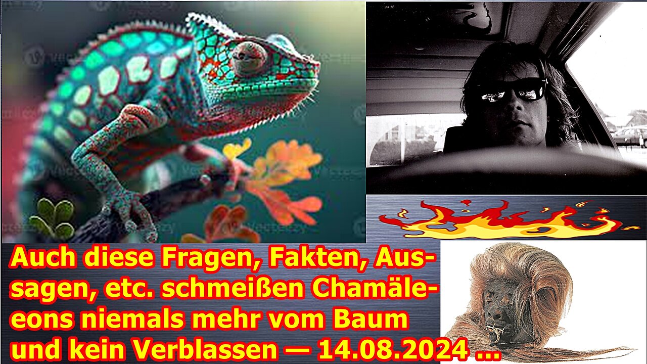 Auch diese Fragen, Fakten, Aussagen, etc. schmeißen Chamäleons niemals mehr vom Baum, usw.