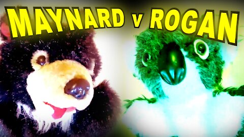 Maynard on Rogan - FIXED