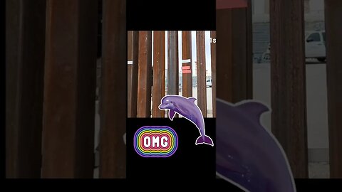 Taco Joe can't even get a dolphin wet , but almost gets arrested at the border for being an Illegal.