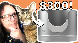 Would you buy this litter box?