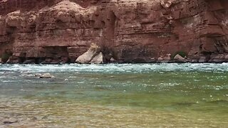 Grand Canyon | Colorado River | Paria Beach