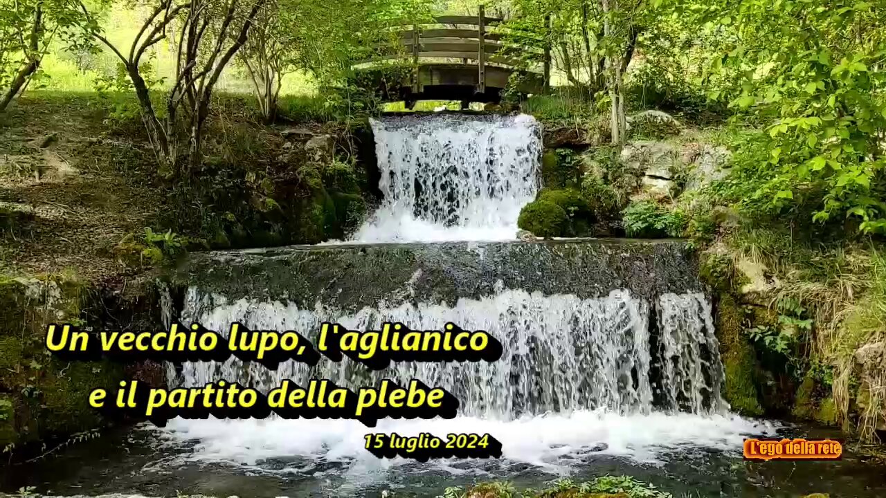 Un vecchio lupo, l'aglianico e il partito della plebe - 15 luglio 2024