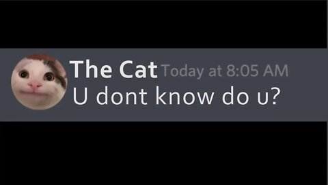 Do you know? Up or down? 🐱