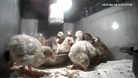 Do these babies ever sleep?? 😳