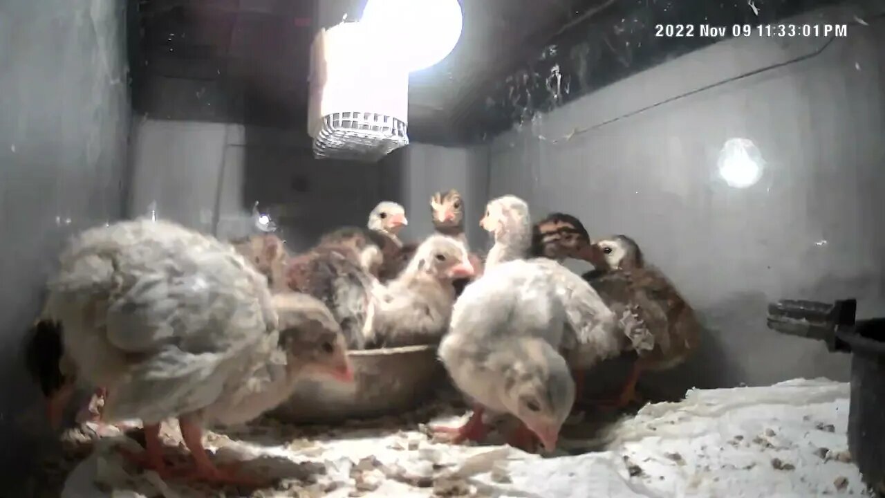 Do these babies ever sleep?? 😳