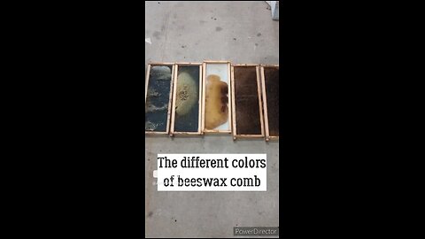 Color Differences in Bee Wax Comb