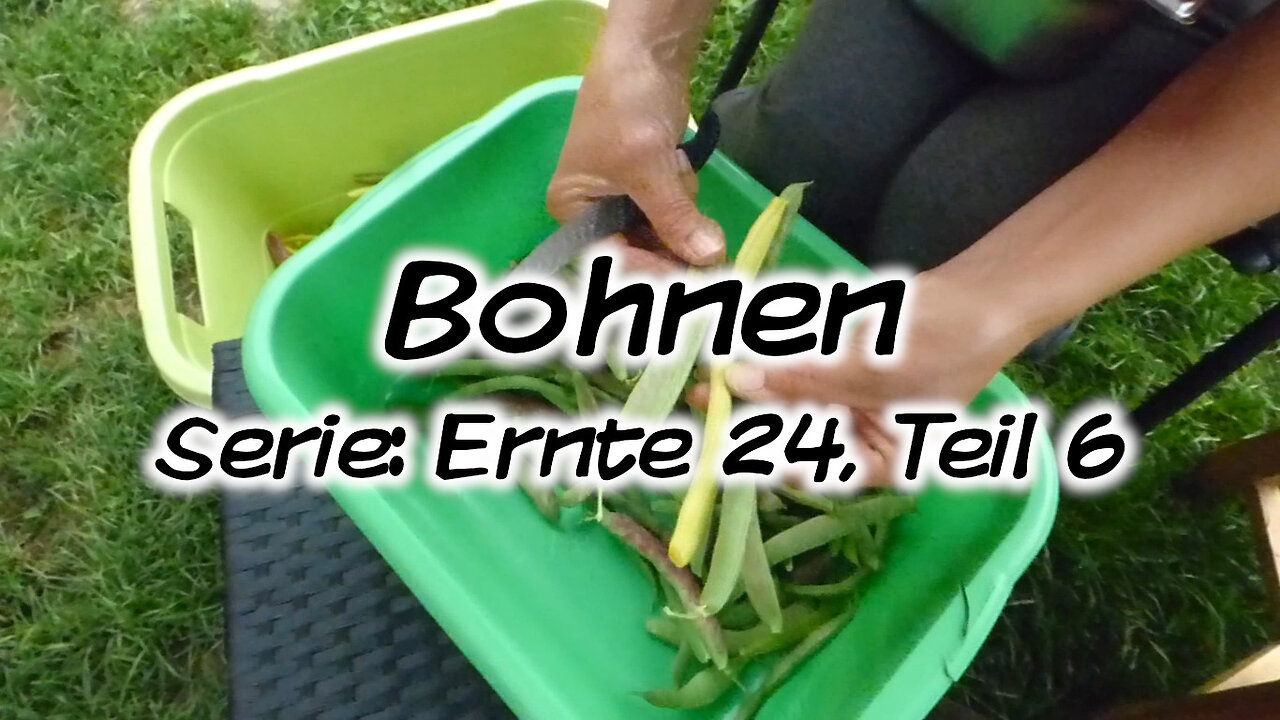 Mach's Dir. Selbst. - Bohnen (Serie: Ernte 24, Teil 6)