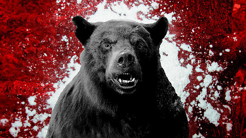 Sleazy Pictures: Choose: A Bear on Cocaine or Cocaine on a Bear