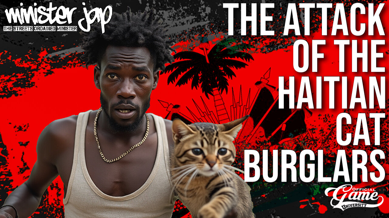 The Attack Of The Haitian Cat Burglars