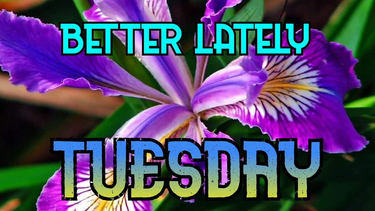 Better Lately - Tuesday