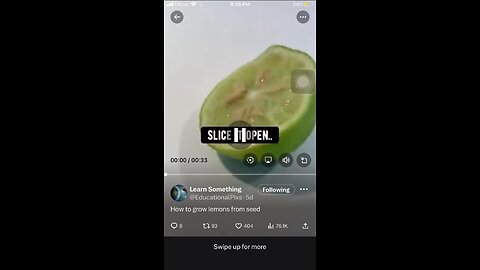 Learn something, grow lemon from seed