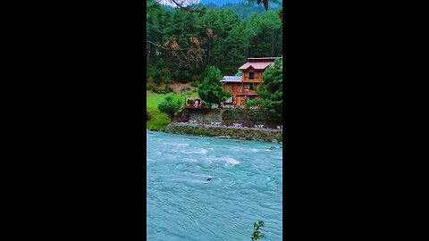 nature view