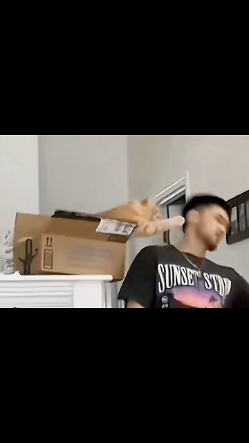 Funny cats hhhhhh new video 2024