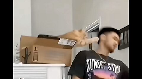 Funny cats hhhhhh new video 2024