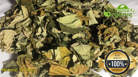 Dehydrated papaya leaves 100% premium quality natural ceylon Carica papaya.