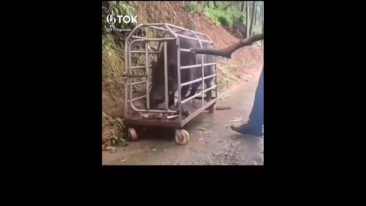 A message to the libtards from Mister Rogers