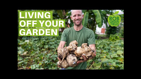 13+ Survival Gardening Crops To Grow To Live Off Your Garden