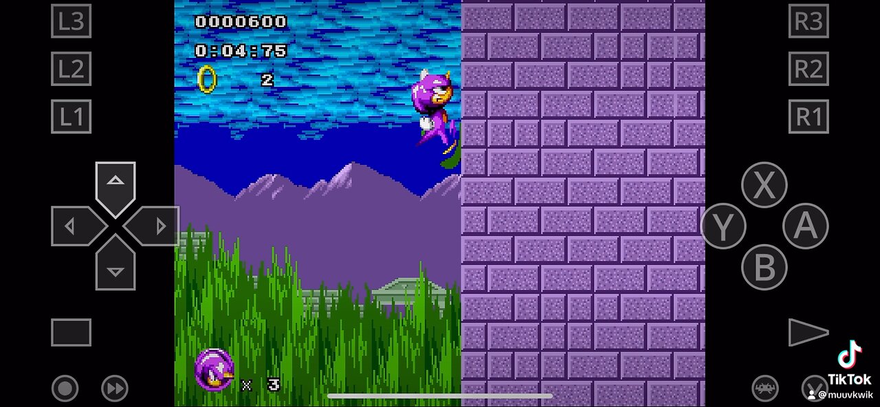 Sonic 1 marble zone act 2 18.55 sekonds with espio