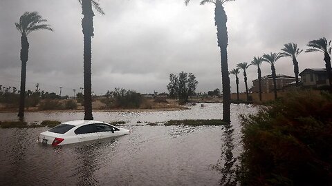 L'ESULE SOPRAVVIVE A PALM SPRINGS SOMMERSA DALLA TEMPESTA TROPICALE HILARY E AL TERREMOTO!