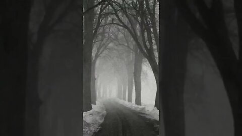 late night snow