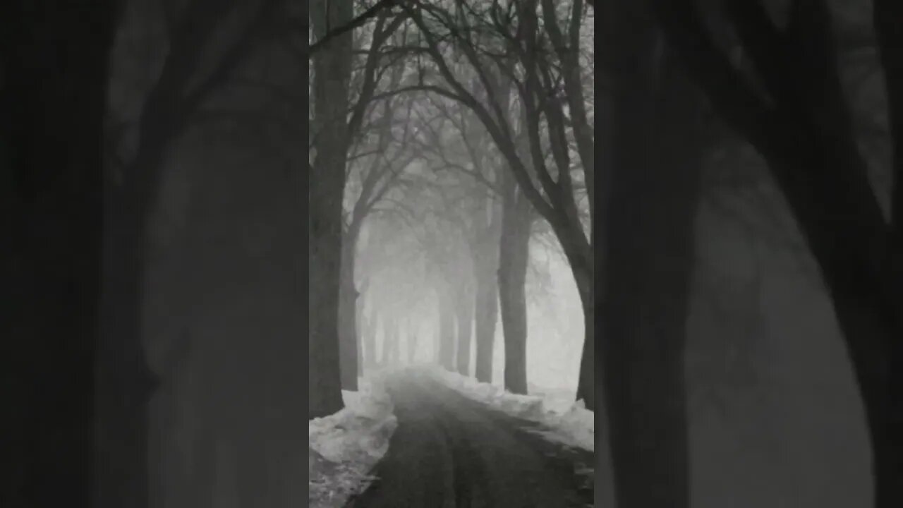 late night snow