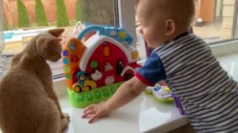 Kids Play with Toys and Cats