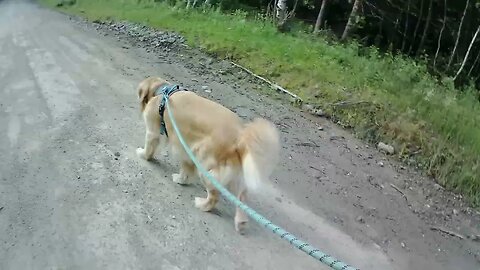 July 7th, southbound