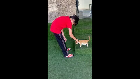 Love#cat#nadeem57