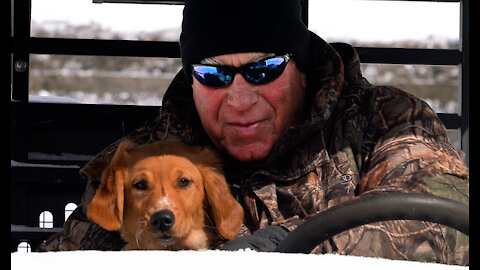 Scarlet trains with Bill Hillmann in 12 degrees