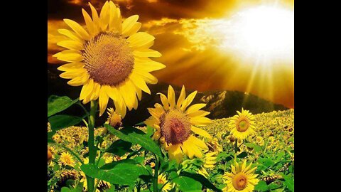 Video 92- (Full one/new upload) A new poem; Spring Forth, RIP R v W, and Franken-food! 20220626