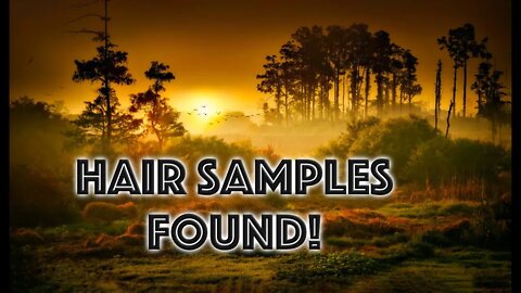 Sasquatch Weekly: Latest on Bigfoot and Modern Explorer