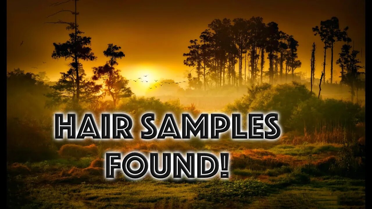 Sasquatch Weekly: Latest on Bigfoot and Modern Explorer