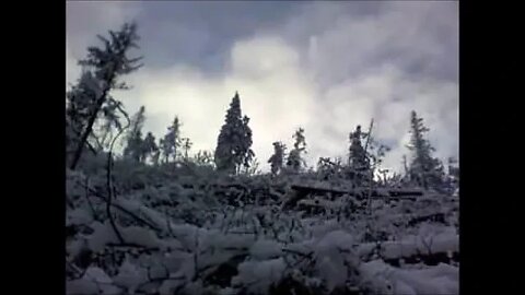 HWN 119 Hallesche Hütte - an den Ahrendsberger Klippen