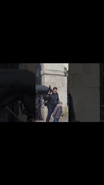 Boy screaming at horse getting to close #horseguardsparade