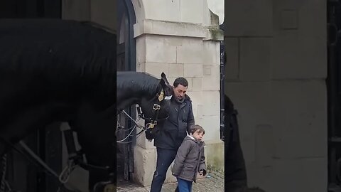 Boy screaming at horse getting to close #horseguardsparade