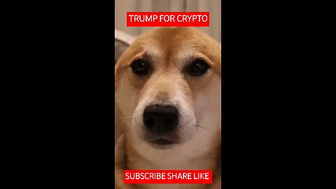 President Trump at Bitcoin 2024 at Nashville, Tennessee