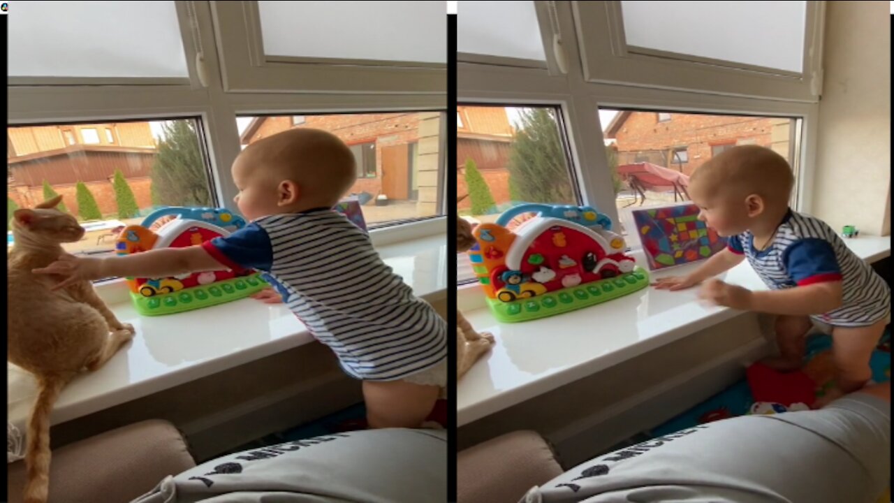 Baby has the sweetest reaction to gift blanket from cate