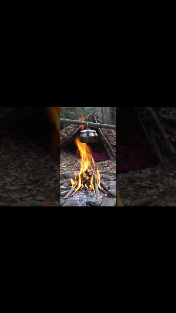 Survival Shelter in the Wilderness. Bushcraft Skills