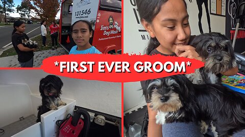 ✨Ripple & Stellar's *FIRST GROOM*