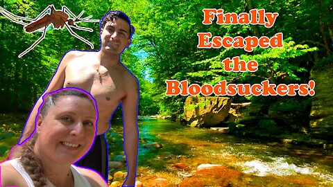 He SWALLOWED A Bug 🤢🤮 | The Search for Water