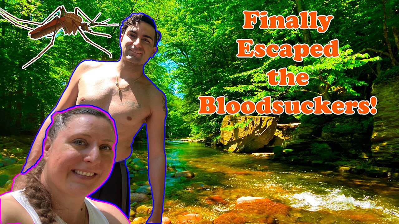 He SWALLOWED A Bug 🤢🤮 | The Search for Water