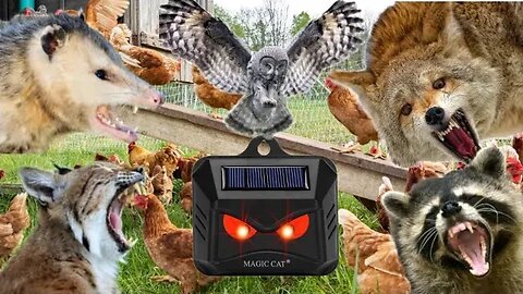 Predator Lights - Do the work? Solar Predator Control Light